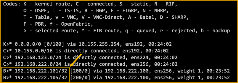 BGP show ip route
