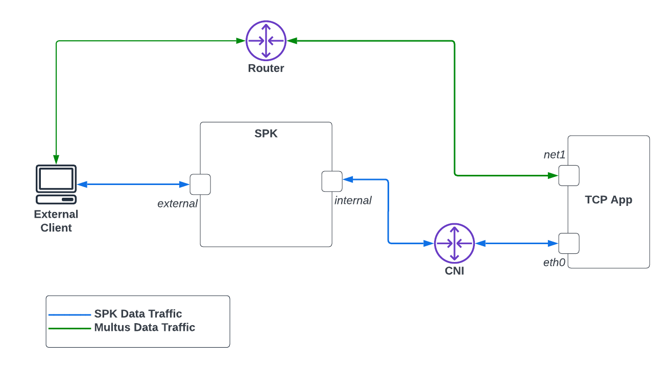 Multus Traffic Overview