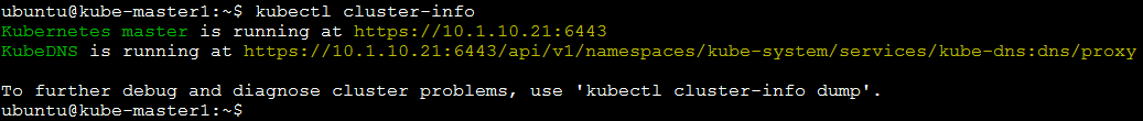 ../../_images/cluster-setup-guide-kubeadmin-init-check-cluster-info.png