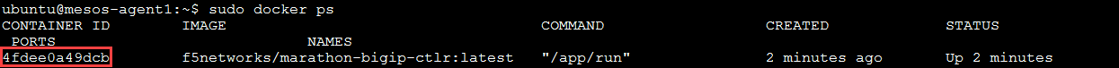 ../../../_images/f5-container-connector-get-bigip-ctlr-container-id.png