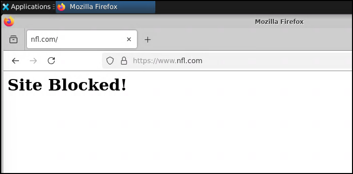 ../../_images/doh-sinkhole-site-blocked.png