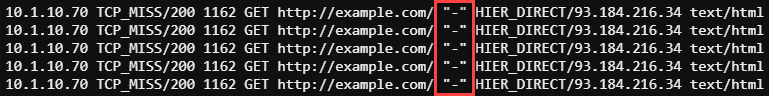 Proxy Access Log