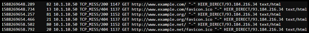 Proxy Access Log