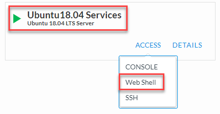 Unbuntu Services Web Shell Access